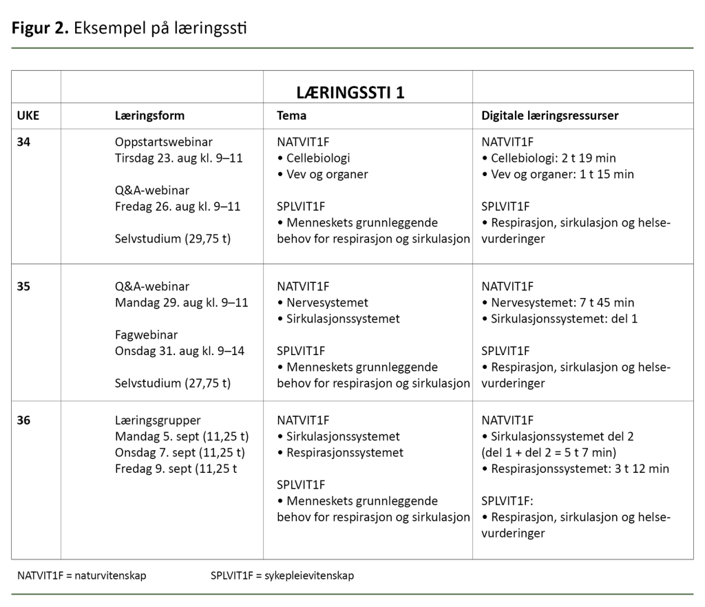 Figur 2. Eksempel på læringssti Figur 2. Eksempel på læringssti