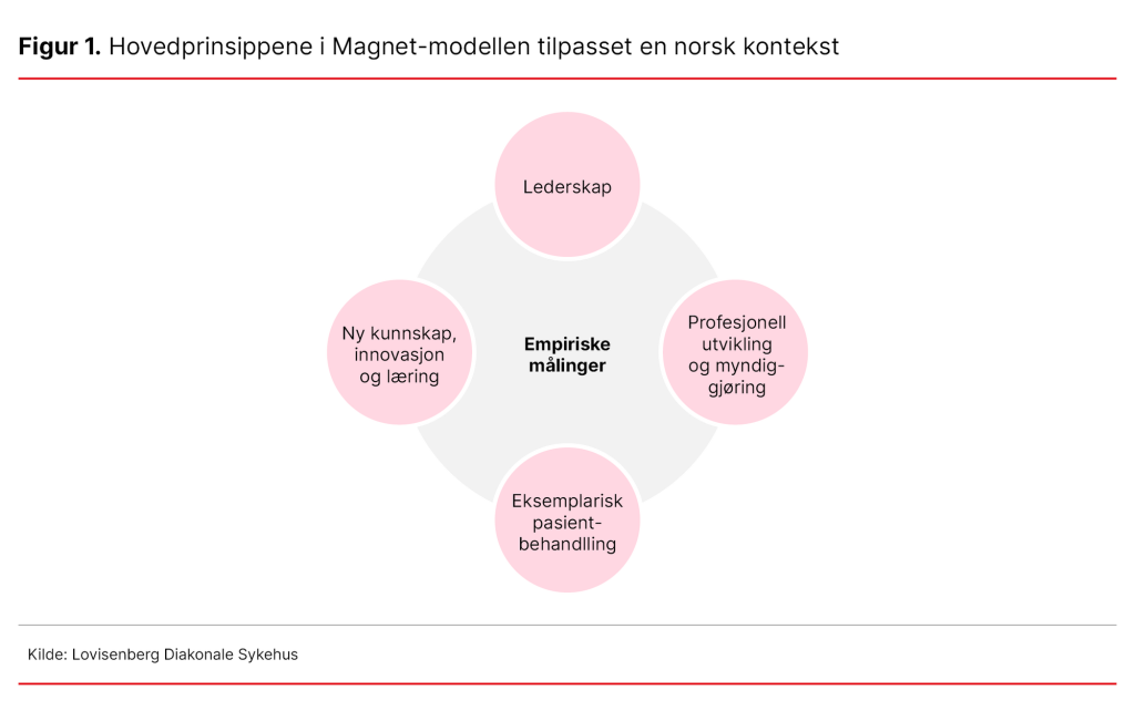 Figur 1. Hovedprinsippene i Magnet-modellen tilpasset en norsk kontekst Figur 1. Hovedprinsippene i Magnet-modellen tilpasset en norsk kontekst
