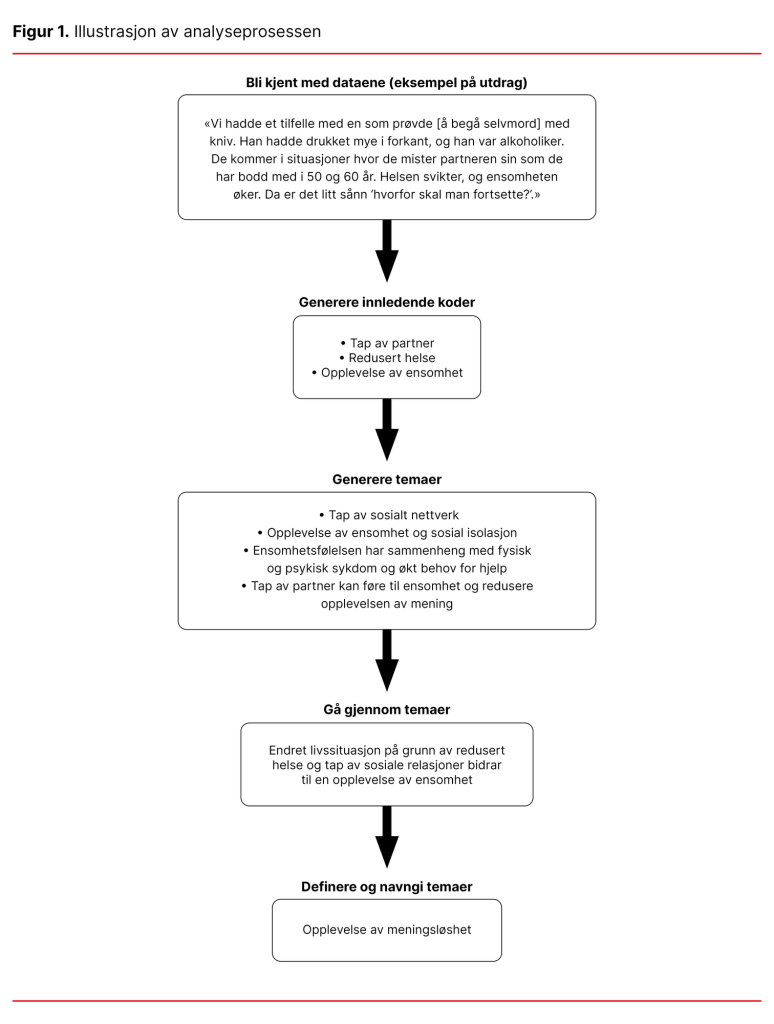 Figur 1. Illustrasjon av analyseprosessen Figur 1. Illustrasjon av analyseprosessen