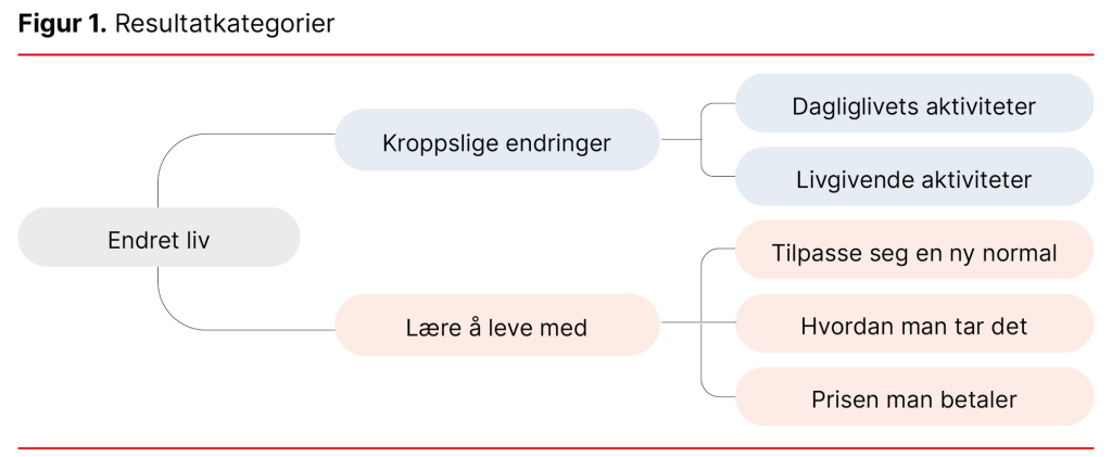 Figur 1. Resultatkategorier Figur 1. Resultatkategorier