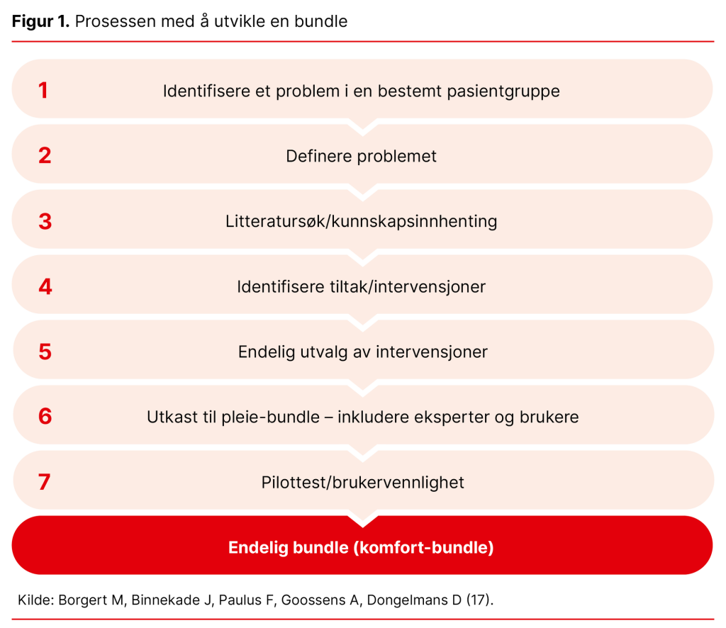 Figur 1. Prosessen med å utvikle en bundle Figur 1. Prosessen med å utvikle en bundle