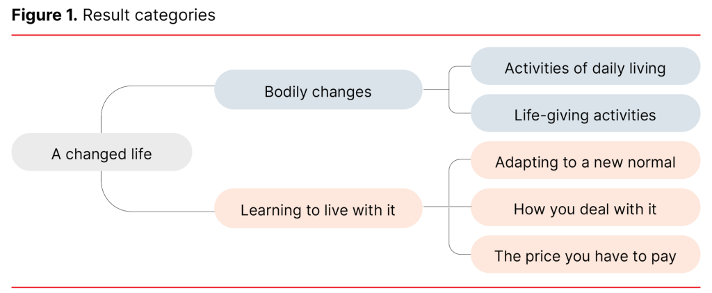 Figure 1. Result categories Figure 1. Result categories
