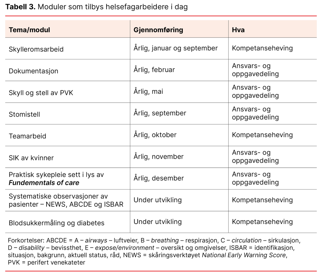 Tabell 3. Moduler som tilbys helsefagarbeidere i dag Tabell 3. Moduler som tilbys helsefagarbeidere i dag