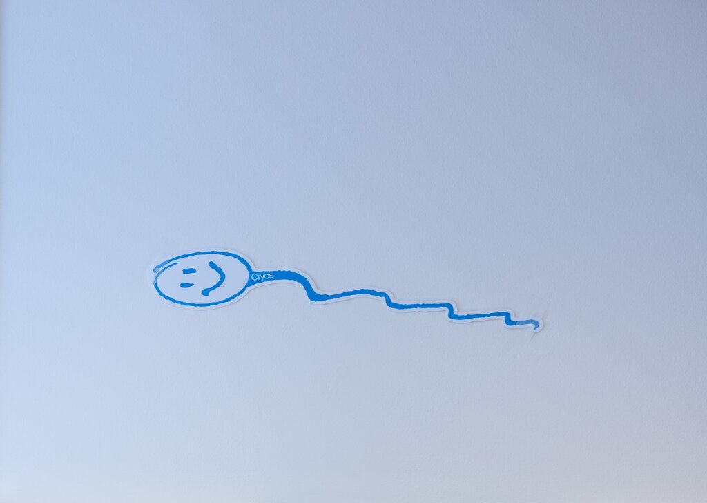 Bildet viser en tegnet sædcelle.