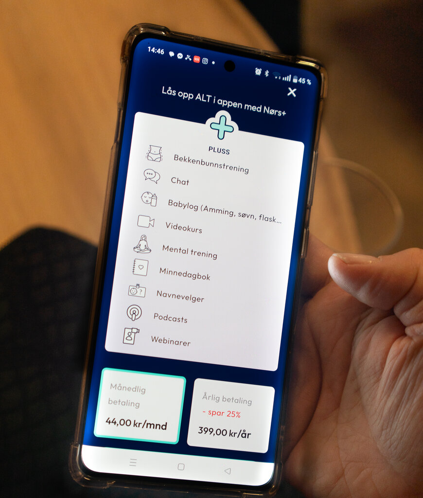 Nørs+ Bildet viser betalingsløsningen til Nørs+