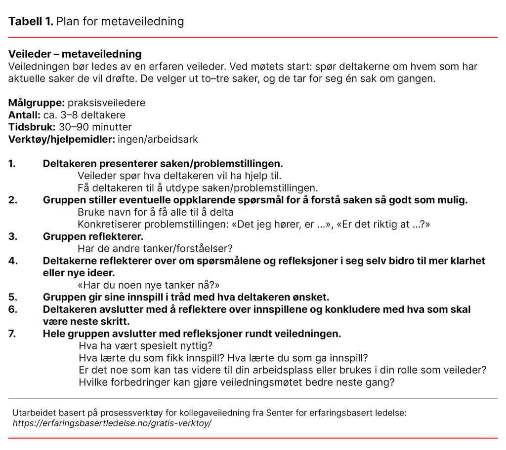 Tabell 1. Plan for metaveiledning