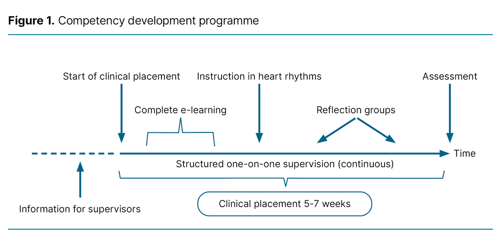 Figure 1. Competency development programme Figure 1. Competency development programme