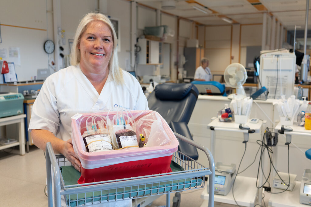 Torill Askjem Aae bildet viser Torill Askjem Aae