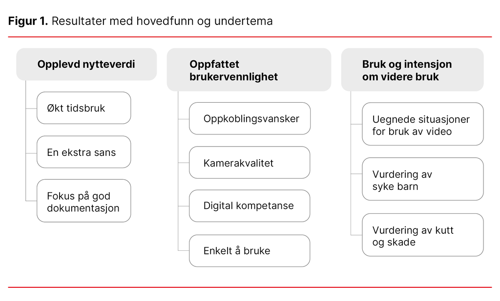 Figur 1. Resultater med hovedfunn og undertema