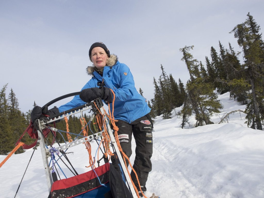 Birgitte kjører hundespann i full fart. Nærbilde.