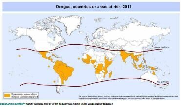 denguekart.jpg