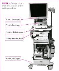 KvamFigur1.jpg (200 bredde)