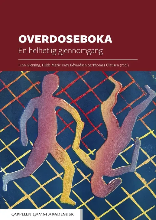 Bilde av bokomslag