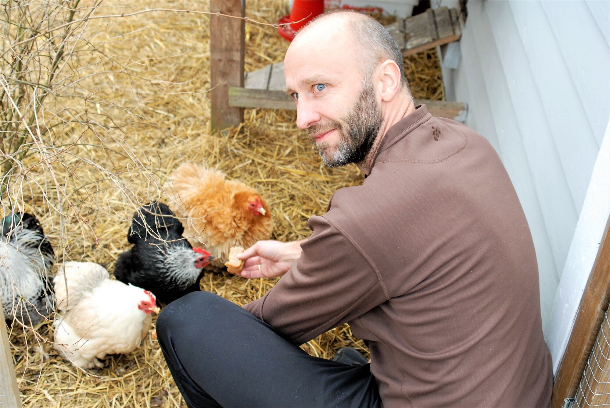 Knut Ove Æsøy har skrevet doktorgrad basert på pensumlitteratur innen lærer- og sykepleieutdanningen. Bildet er et portrett av doktorand Knut Ove Æsøy som mater hønene sine.