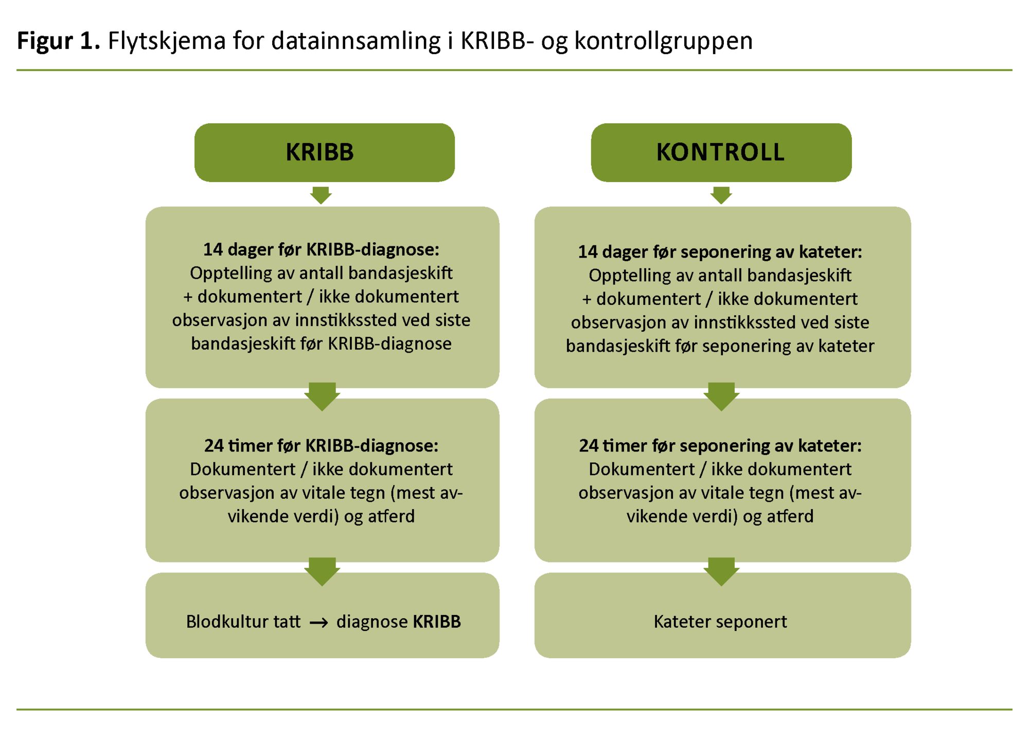 Figur 1 Figur 1. Flytskjema for datainnsamling i KRIBB- og kontrollgruppen