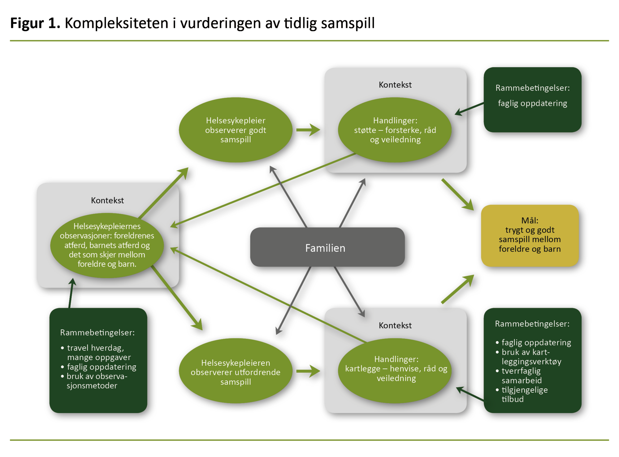 Figur 1. Kompleksiteten i vurderingen av tidlig samspill Figur 1. Kompleksiteten i vurderingen av tidlig samspill