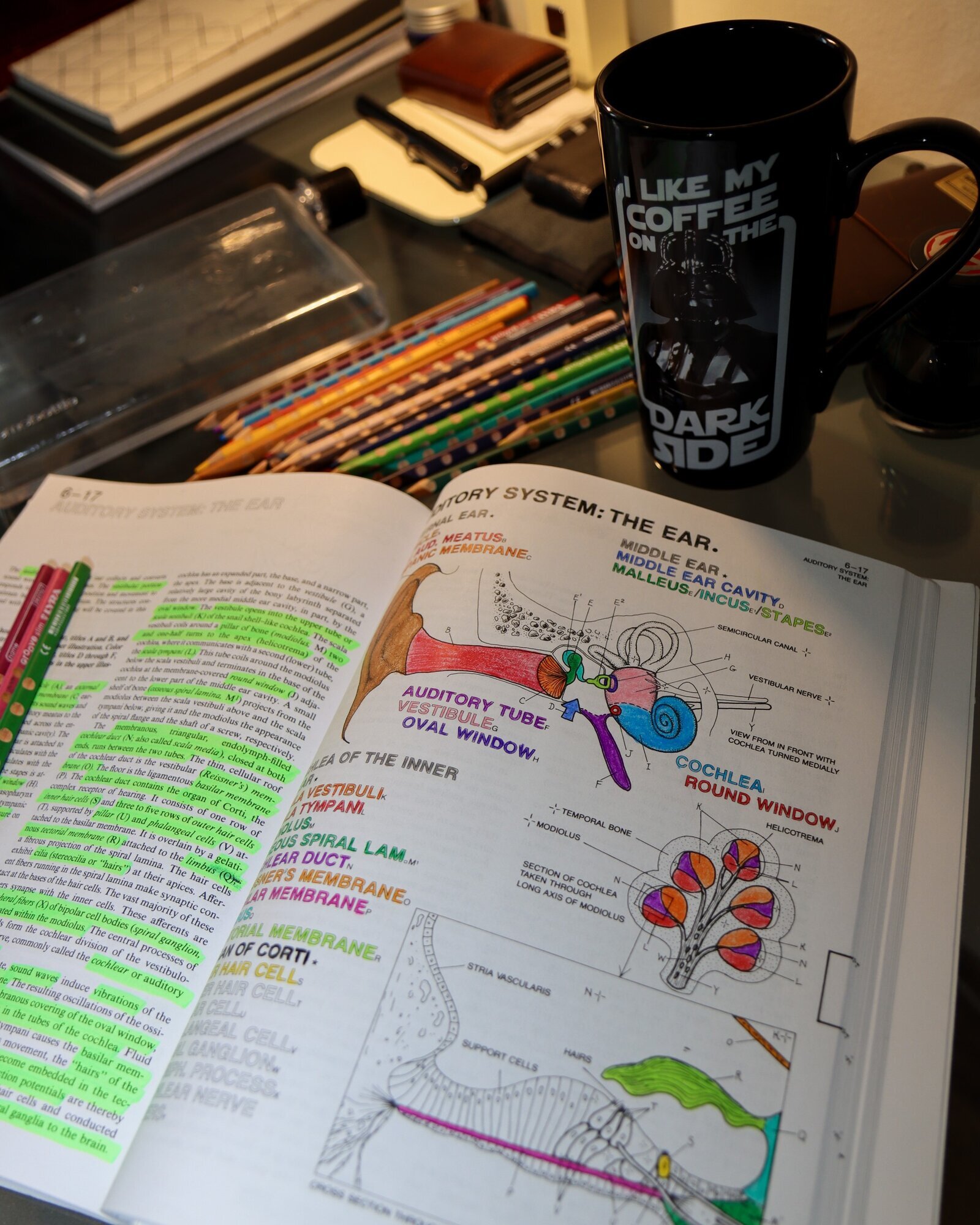 Anders Christoffersen Bildet viser en fargeleggingsbok.