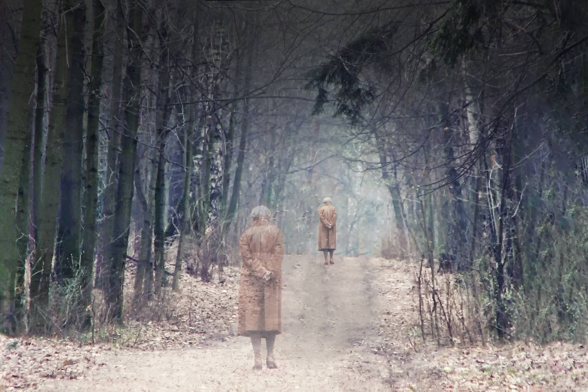 Eldre kvinne går i skogen. Bildet viser en eldre kvinne som går alene på en sti i skogen.