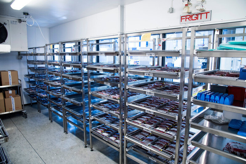 Blod, røde blodlegemer, blodoverføring Bildet viser traller med poser med røde blodlegemer.