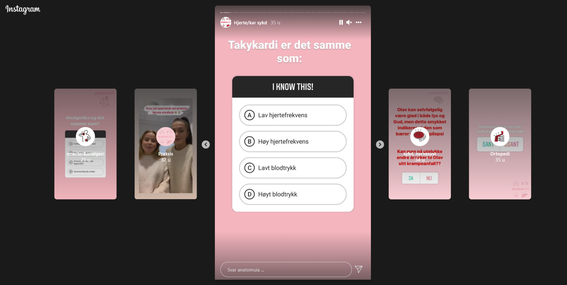 Skjermdump, Instagram Bildet viser en skjermdump av story fra Instagram.