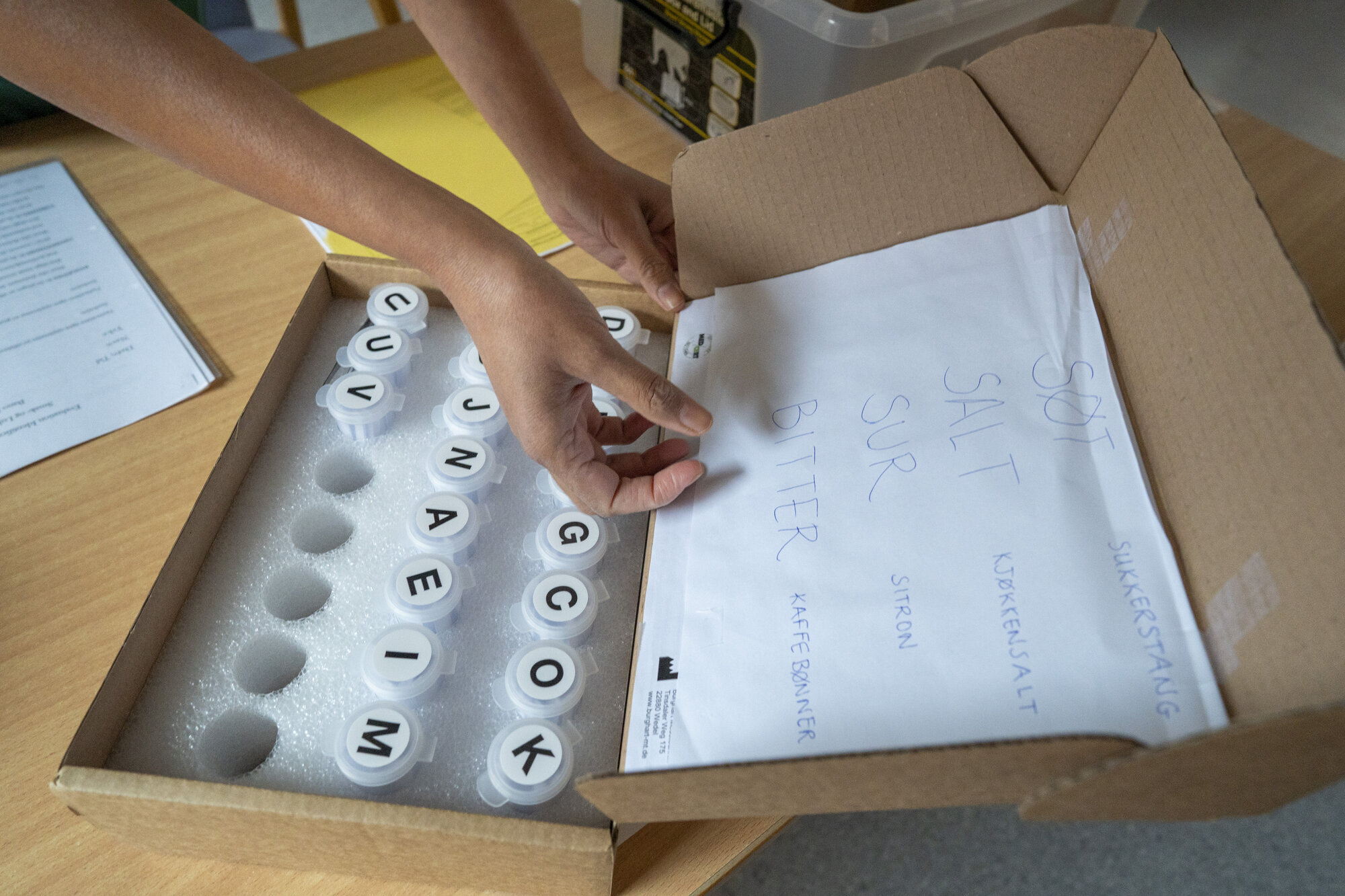 opptrening av luktesans bildet viser opptrening av luktesans