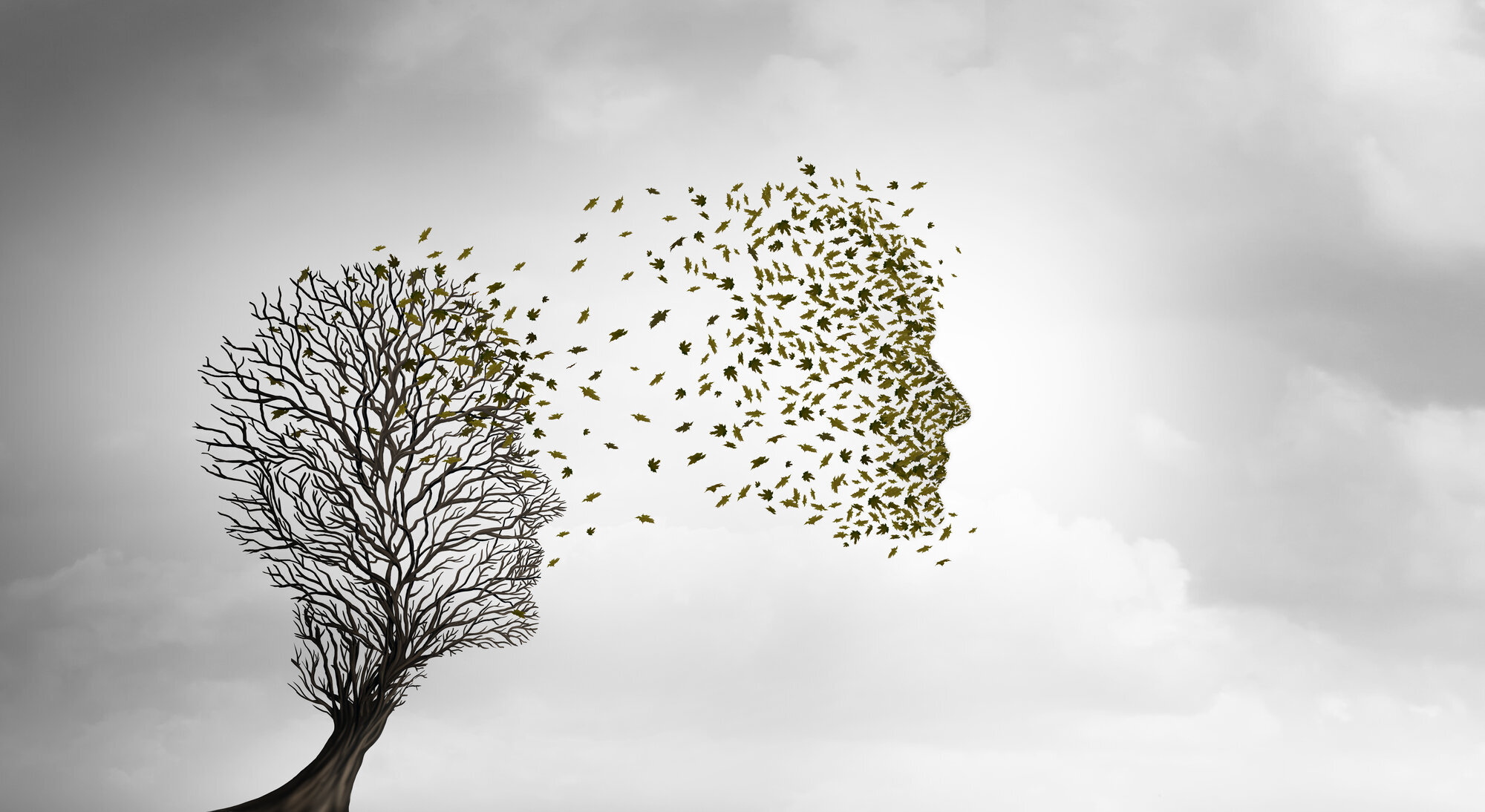 Aktiv dødshjelp Bildet viser et nakent tre formet som et hode. Løvet fra tree blir tatt av vinden