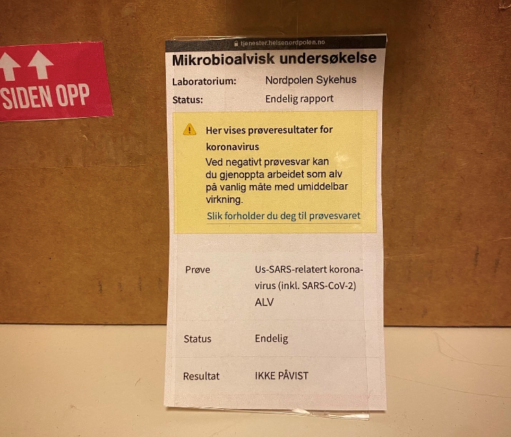 Bildet viser resultatet på koronatest av rampenissen Alf.