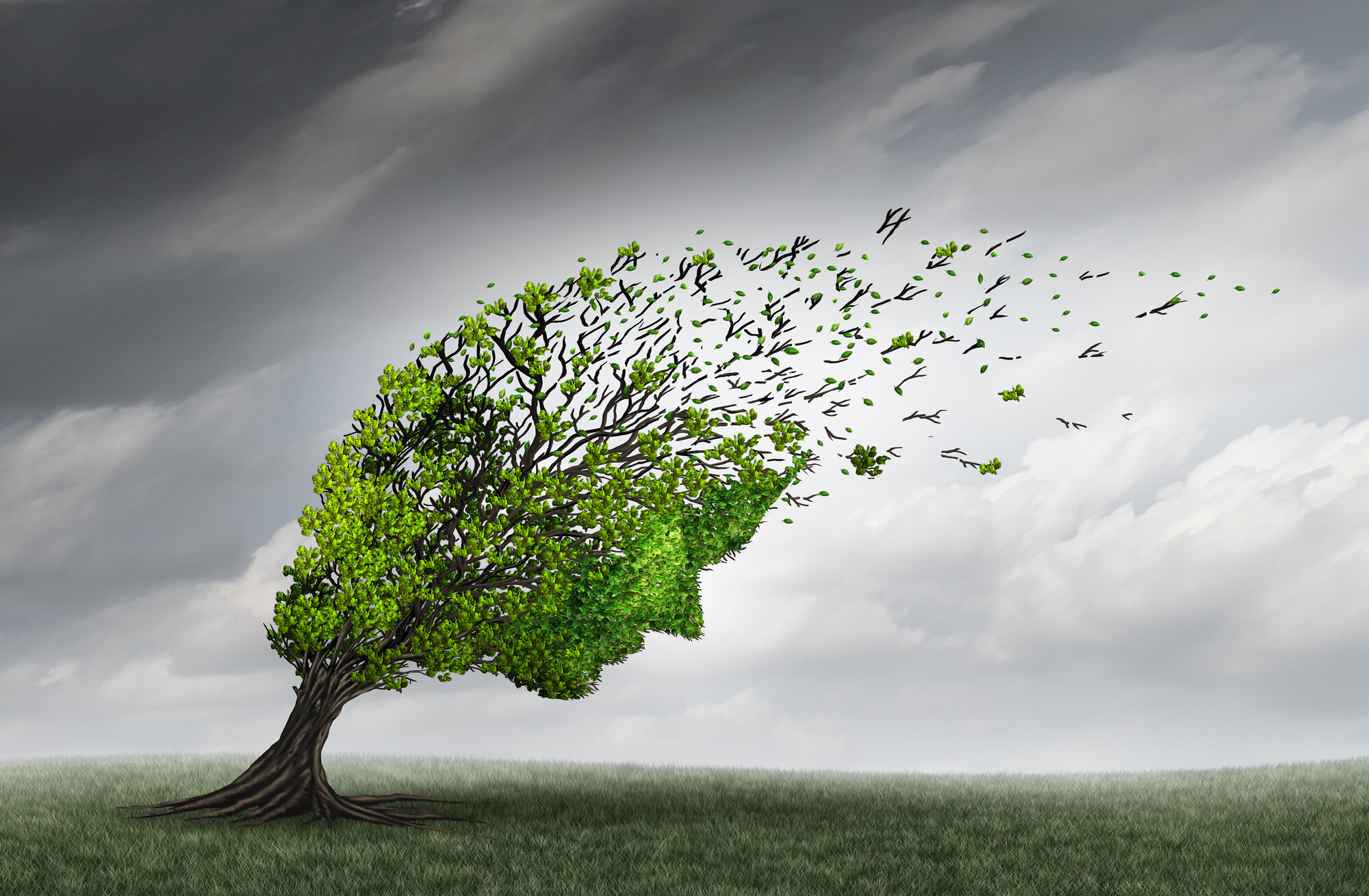 Et tre blåser i vinden Et tre blåser i vinden