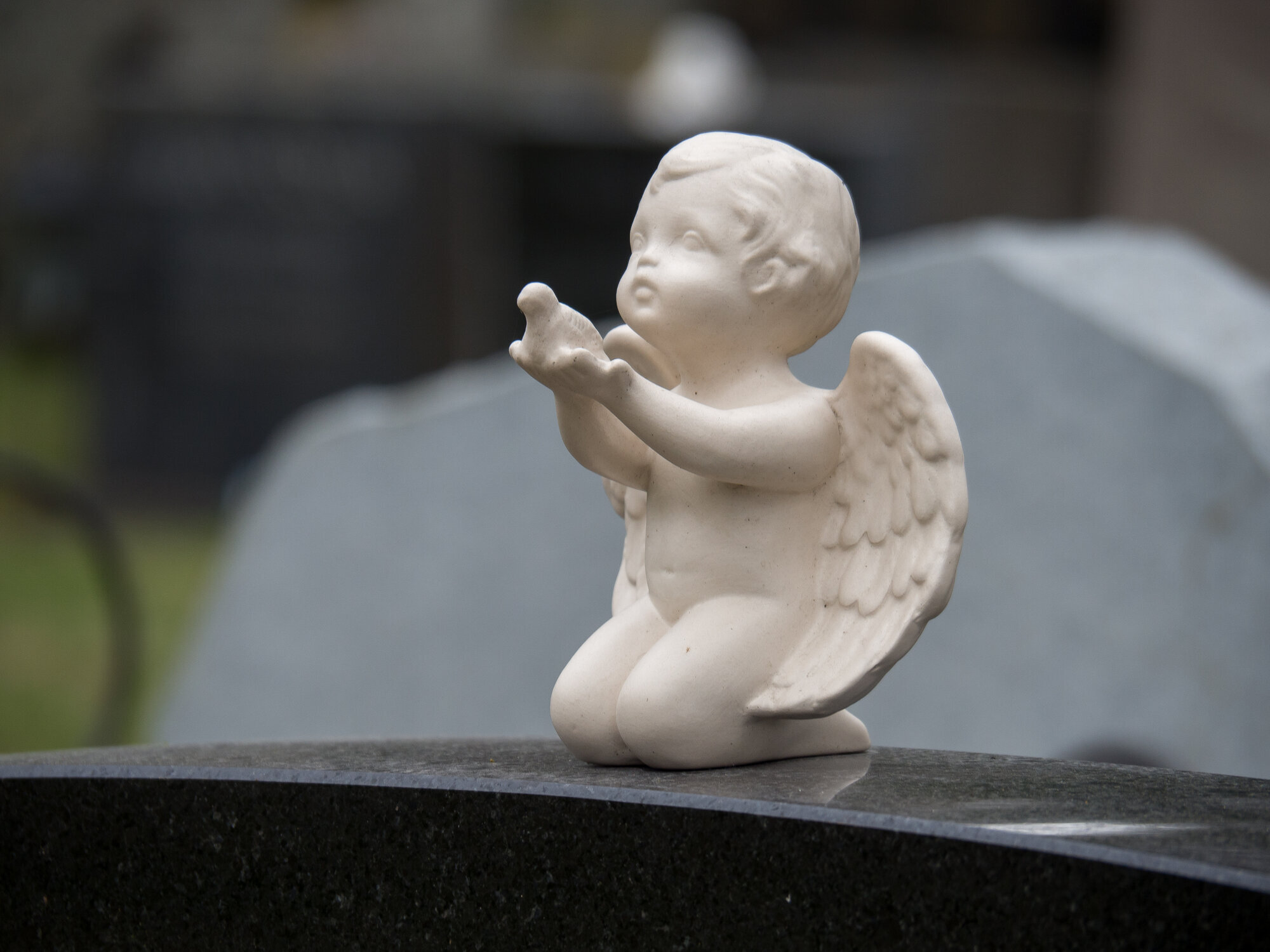 Aktiv dødshjelp Bildet viser en gravstøtte pyntet med en hvit engel som strekker ut armene.