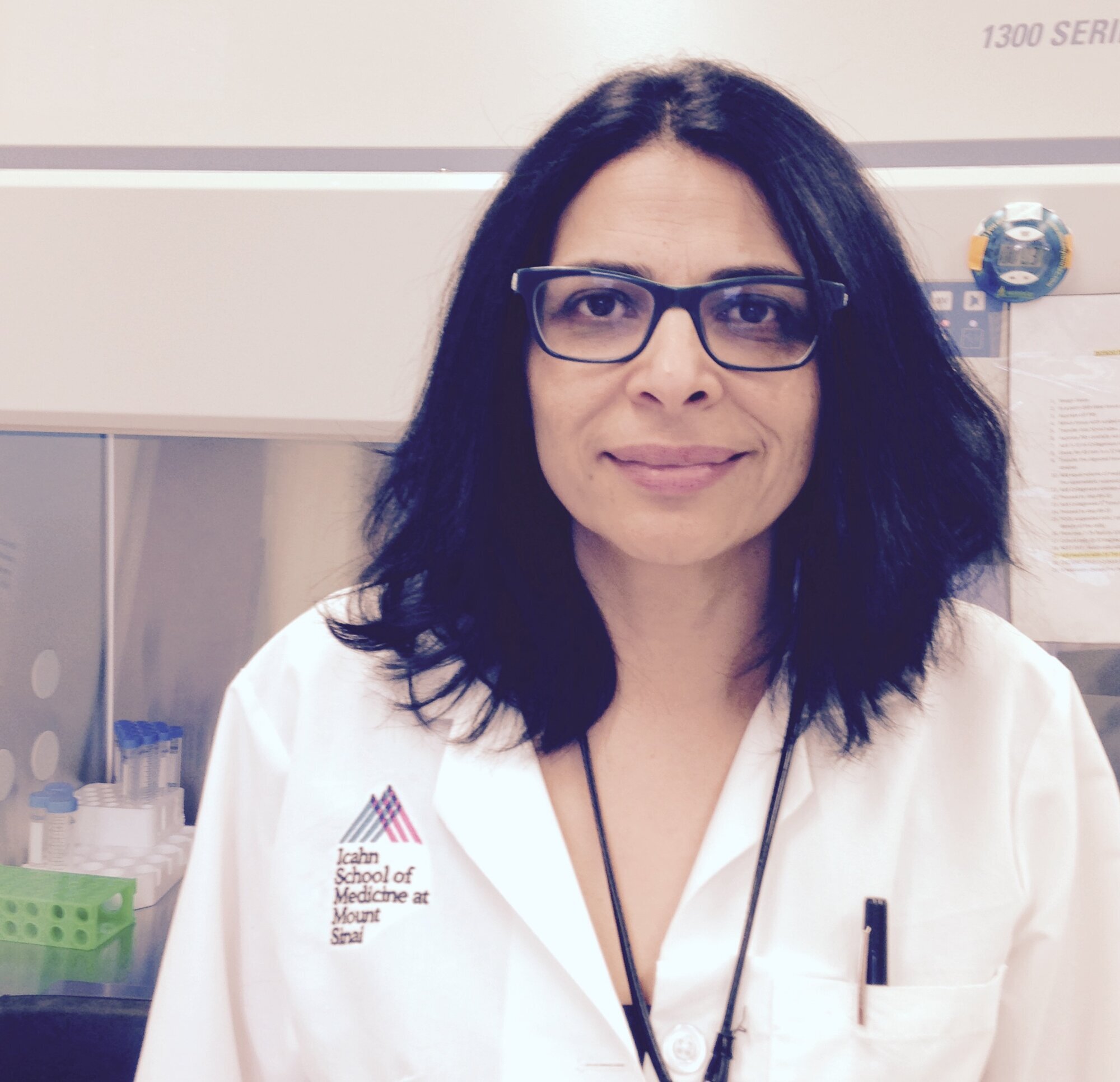 Sara Salehi Hammerstad