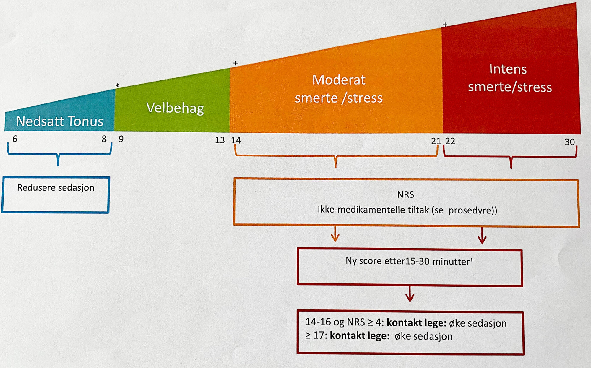 bildet viser flytskjema med COMFORTneo