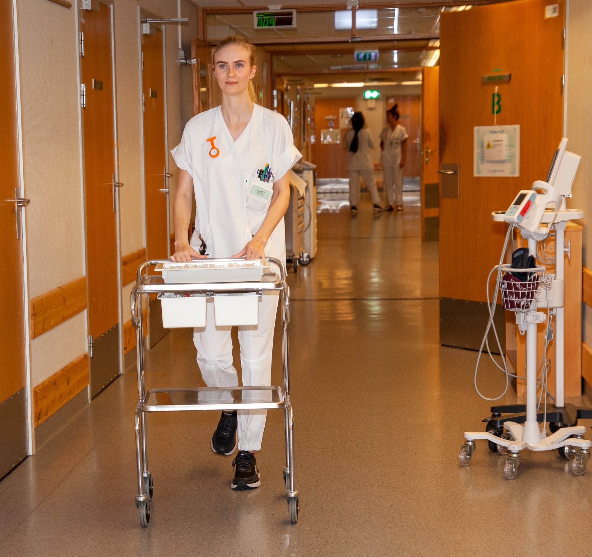 Guro med medisintralle bildet viser Guro med medisintralle