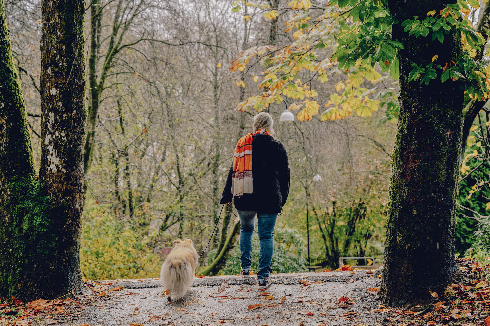Bildet viser Målfrid J. Frahm Jensen som går tur med hund.