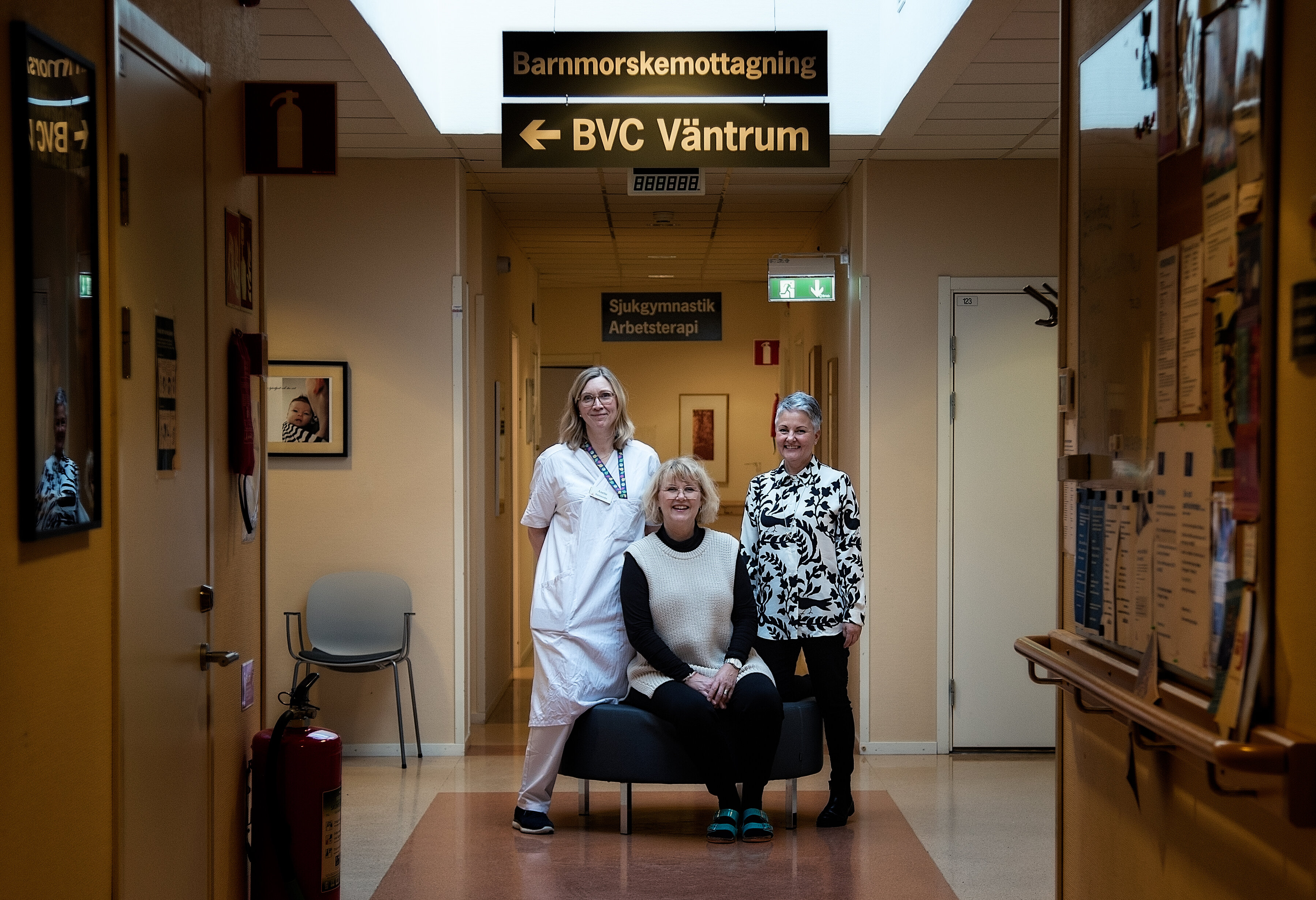 Jordmødre i Sverige Jordmødre i Sverige