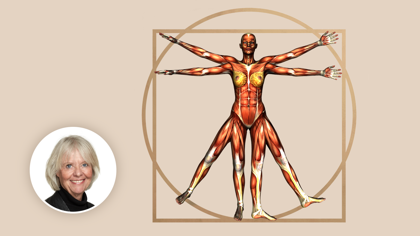 Illustrasjonen viser en kvinnekropp som den vitruvianske kvinnen. Illustrasjonen viser en kvinnekropp som den vitruvianske kvinnen.