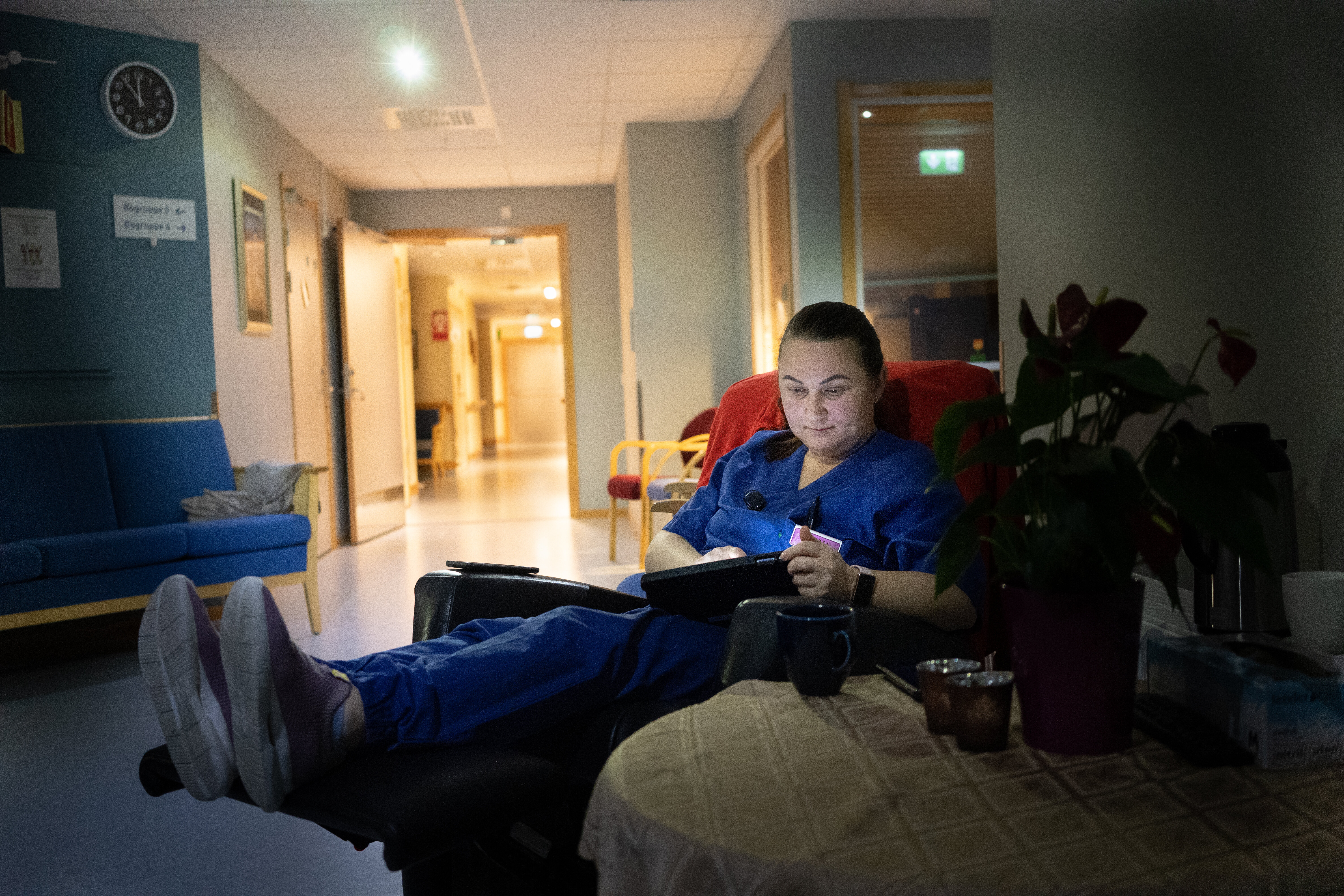 Diana Chis Bildet viser Diana Chis