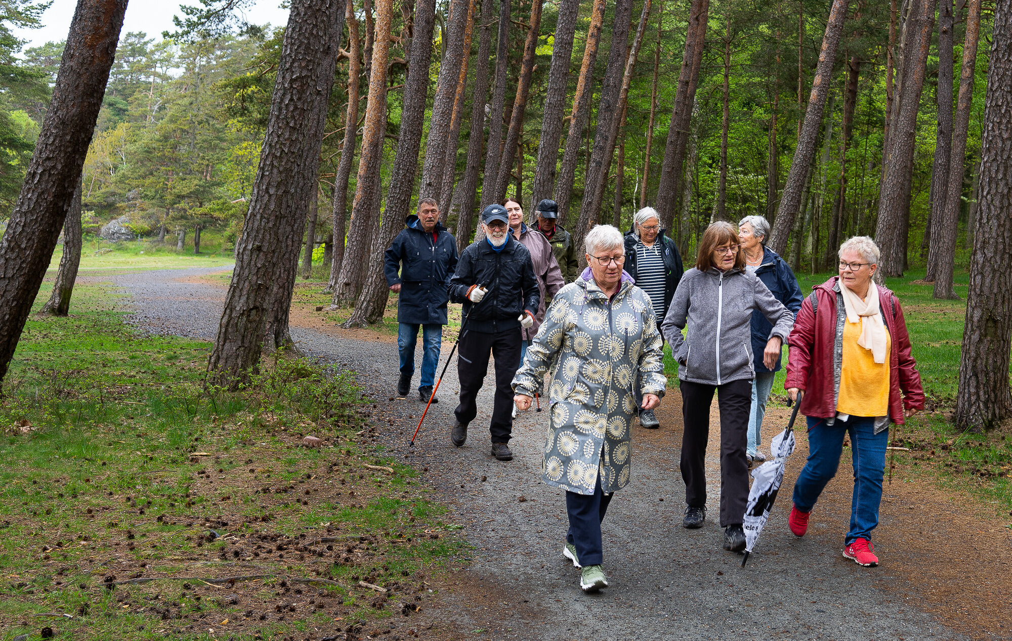 turgruppa på Jeløya bildet viser turgruppa på Jeløya