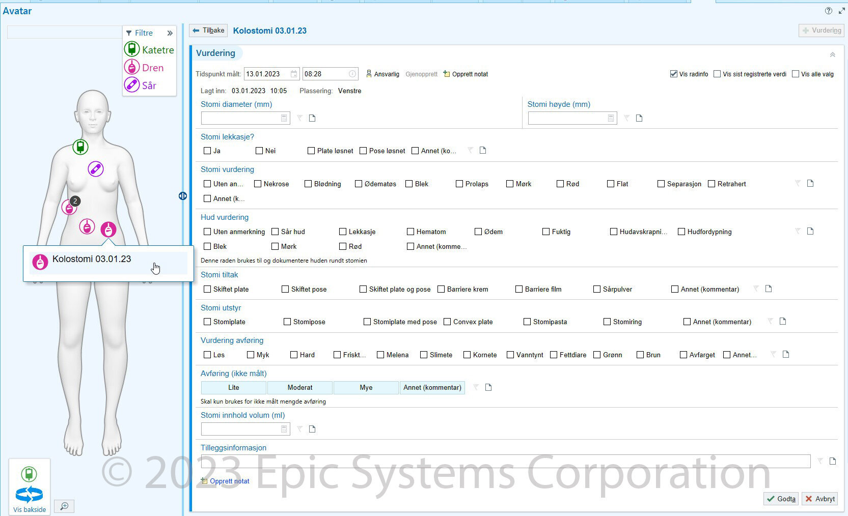 skjermdump av helseplattformen
