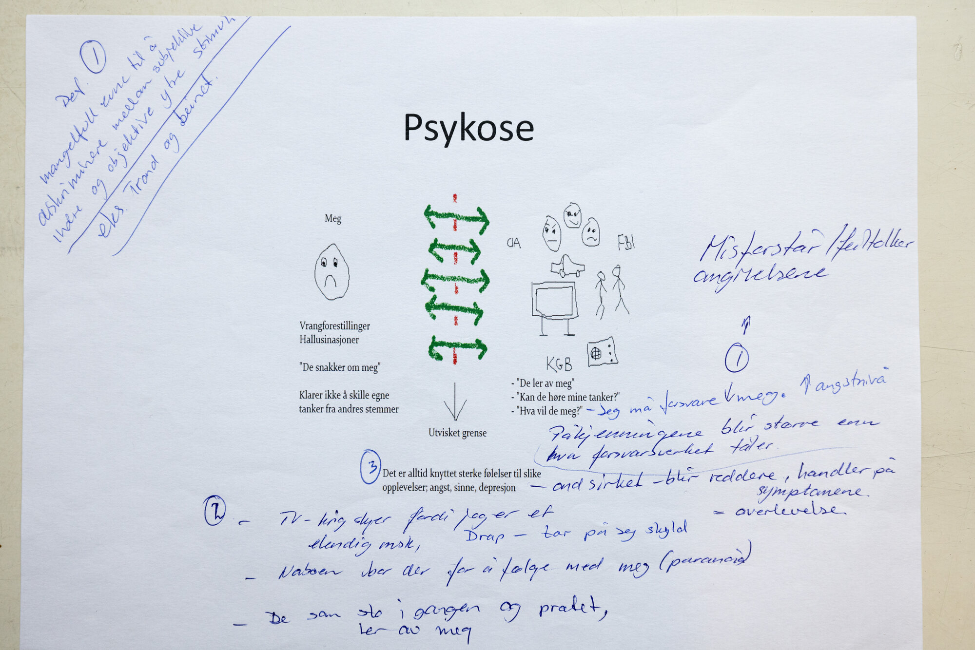 Bildet viser et skjema som illustrerer hvordan en psykose kan arte seg Bildet viser et skjema som illustrerer hvordan en psykose kan arte seg