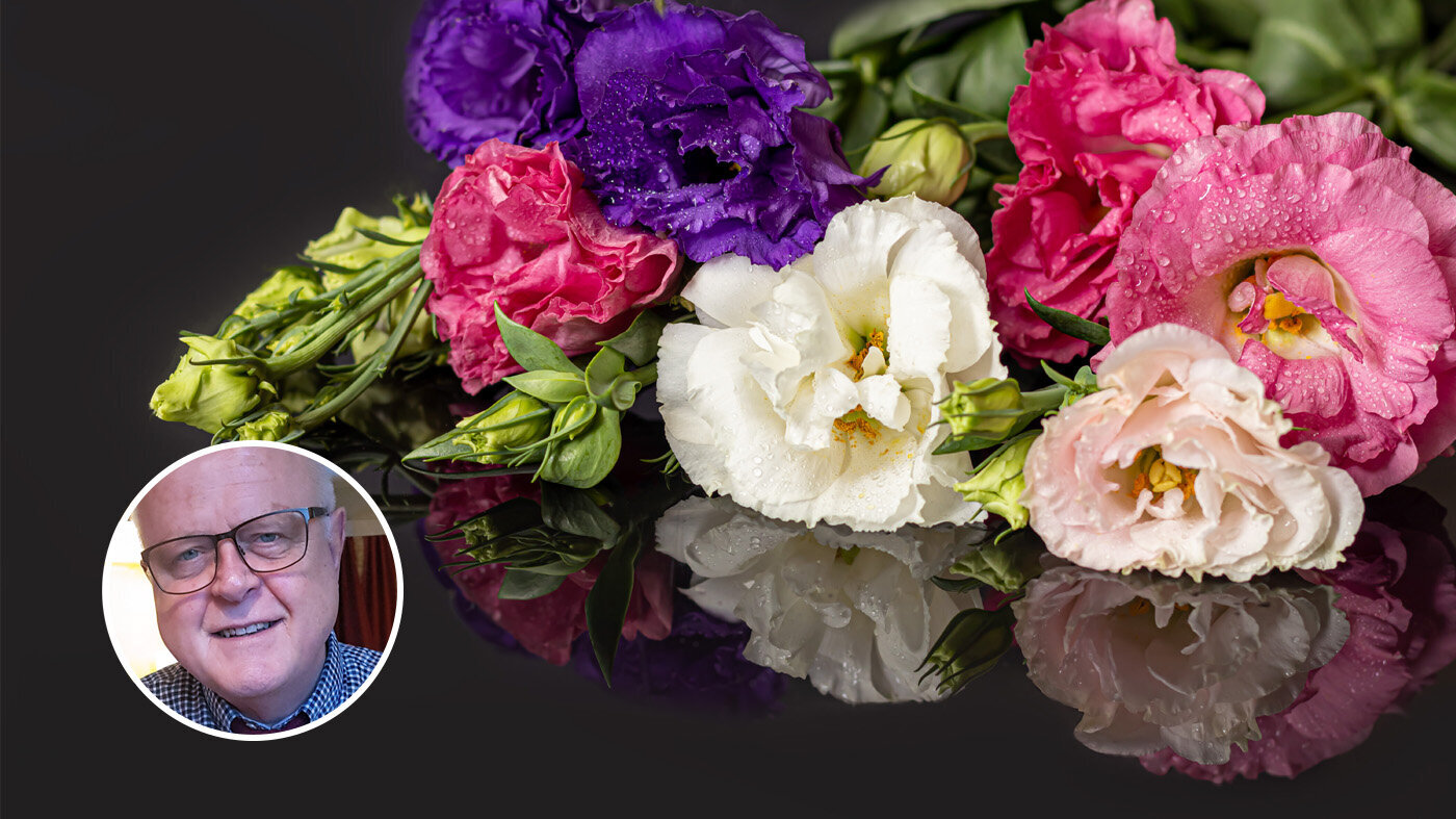 Innleggsforfatter Birger Solvang og en bukett med blomster. Montasjen viser innleggsforfatter Birger Solvang og en bukett med blomster.