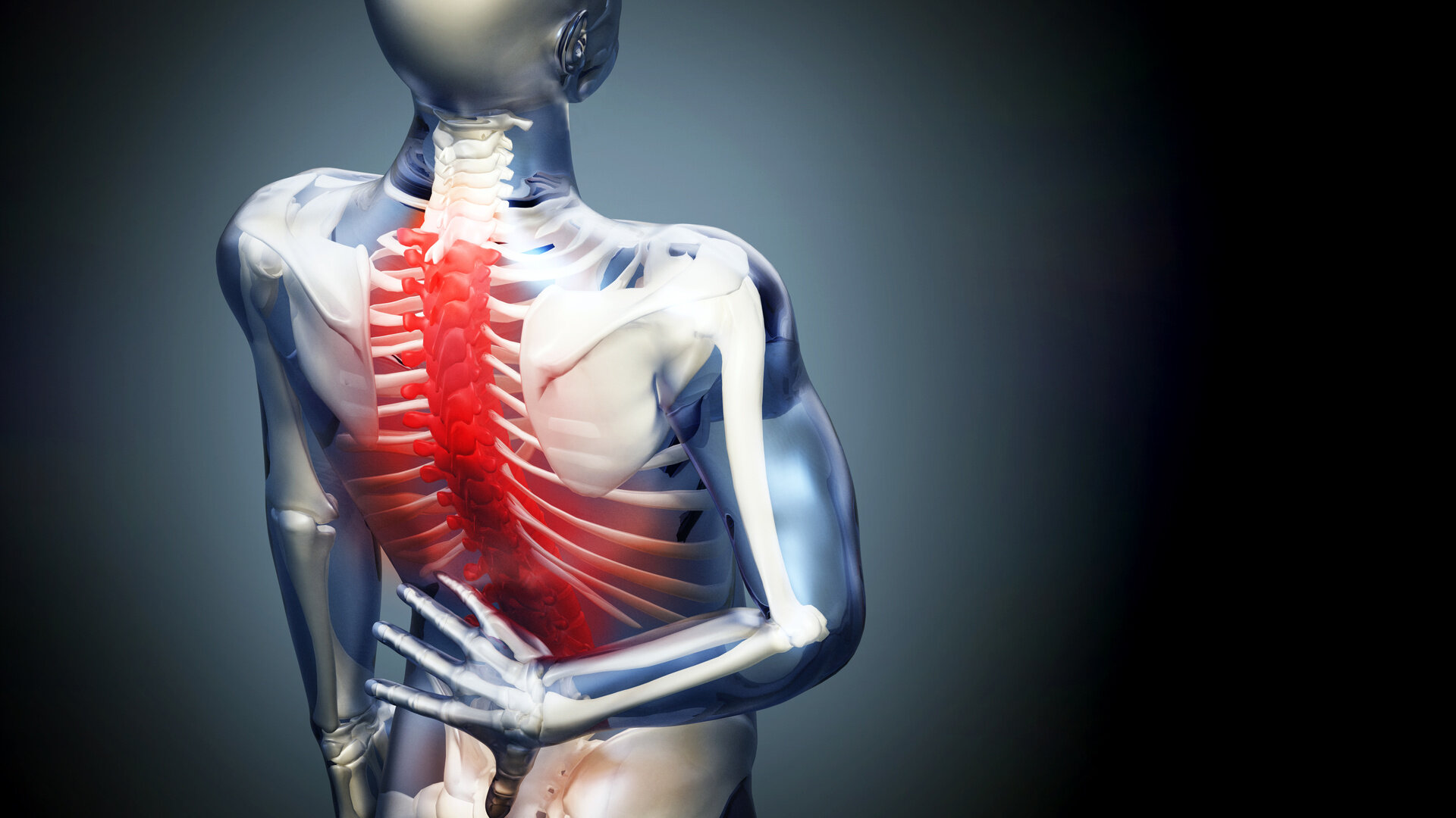Bilde viser en illustrasjon av et skjelett med smerte i ryggen Bilde viser en illustrasjon av et skjelett med smerte i ryggen