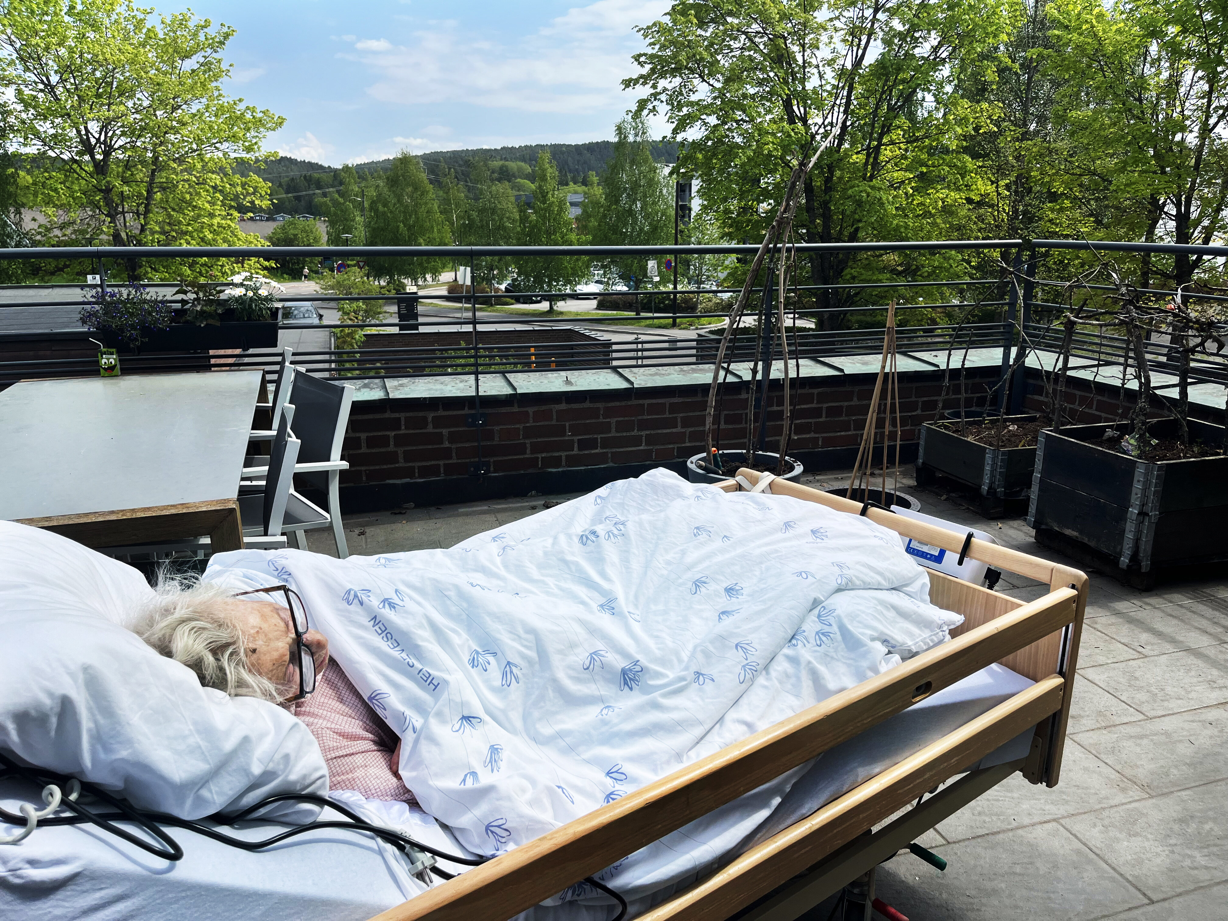 Harriet Sandberg Harriet Sandberg