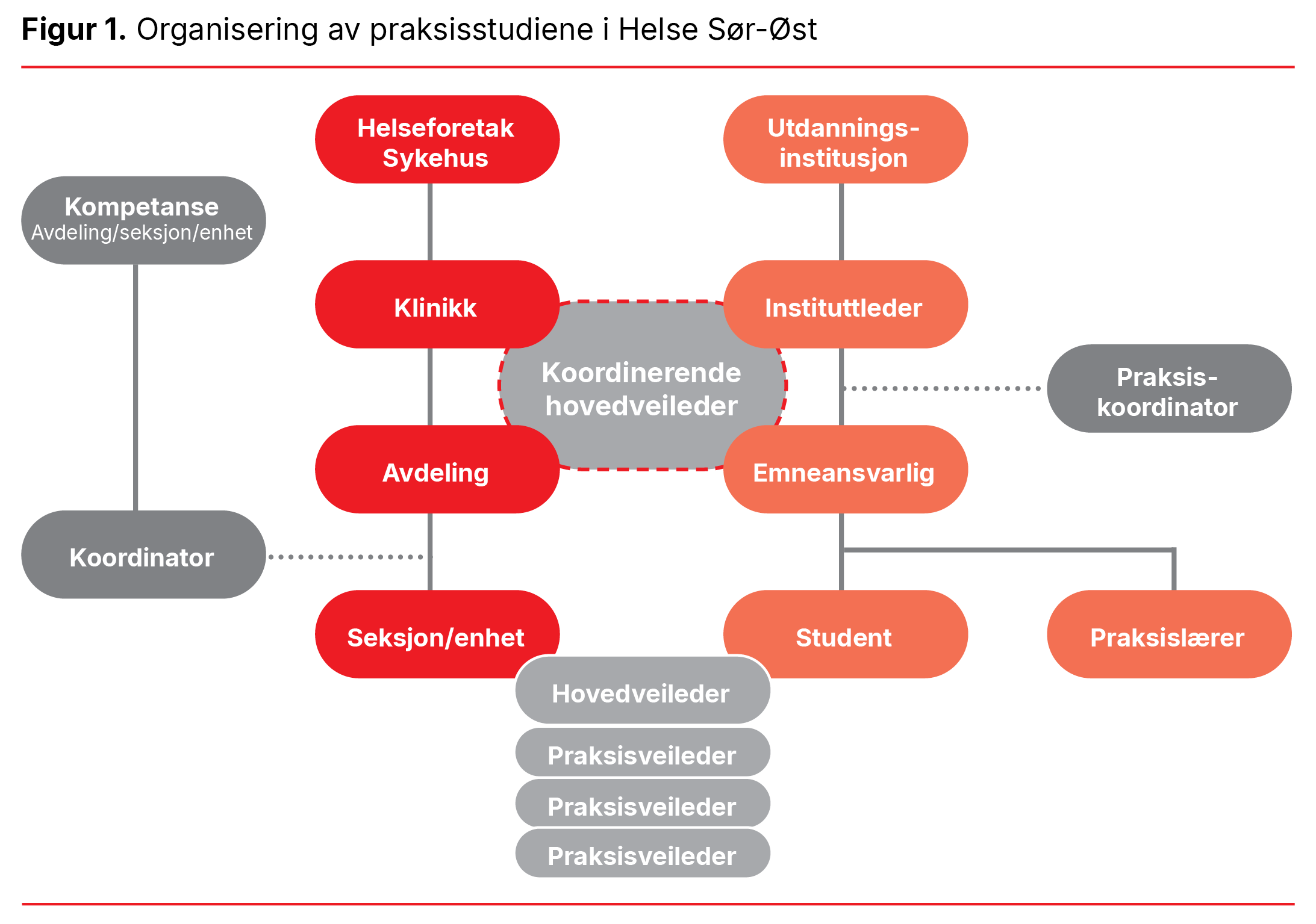 Figur 1. Organisering av praksisstudiene i Helse Sør-Øst
