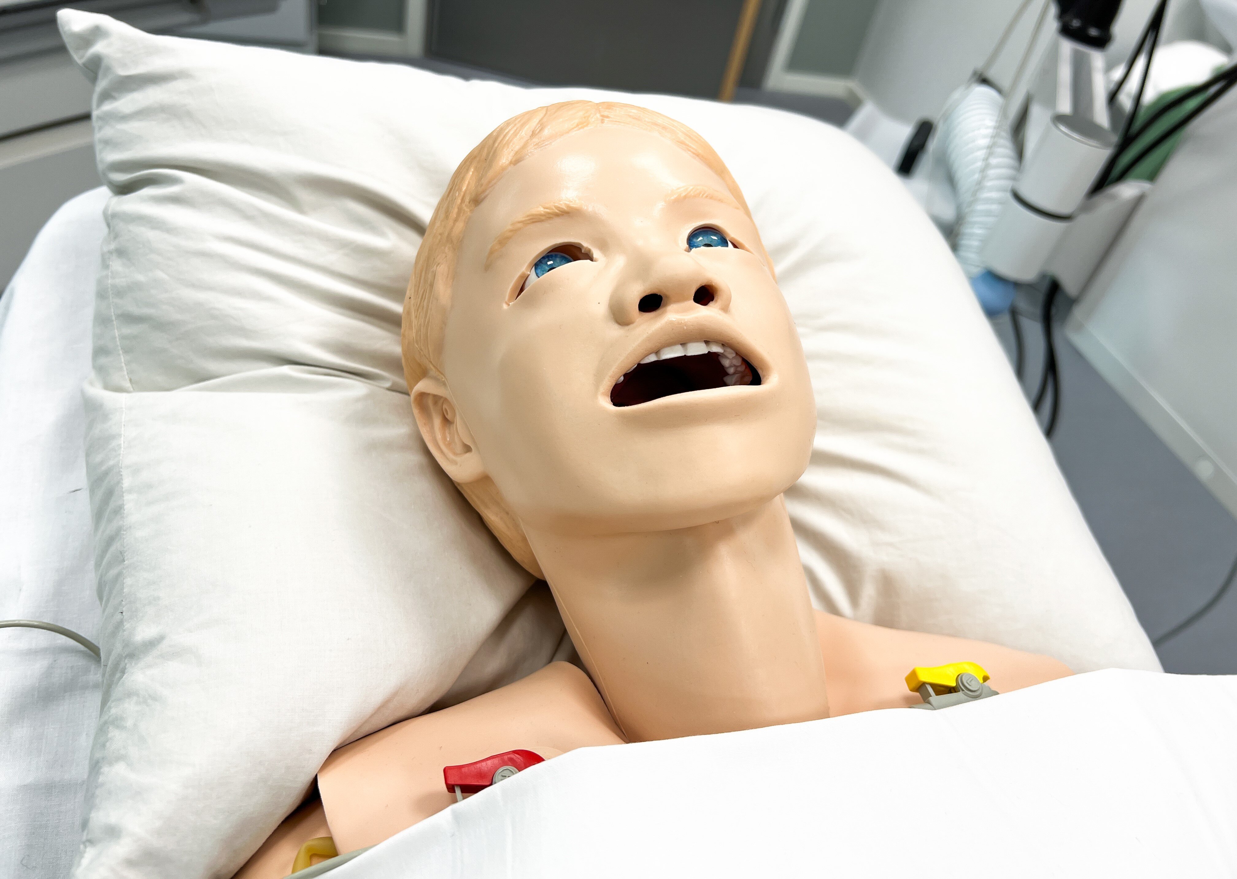 Bildet viser en simuleringsdukke.