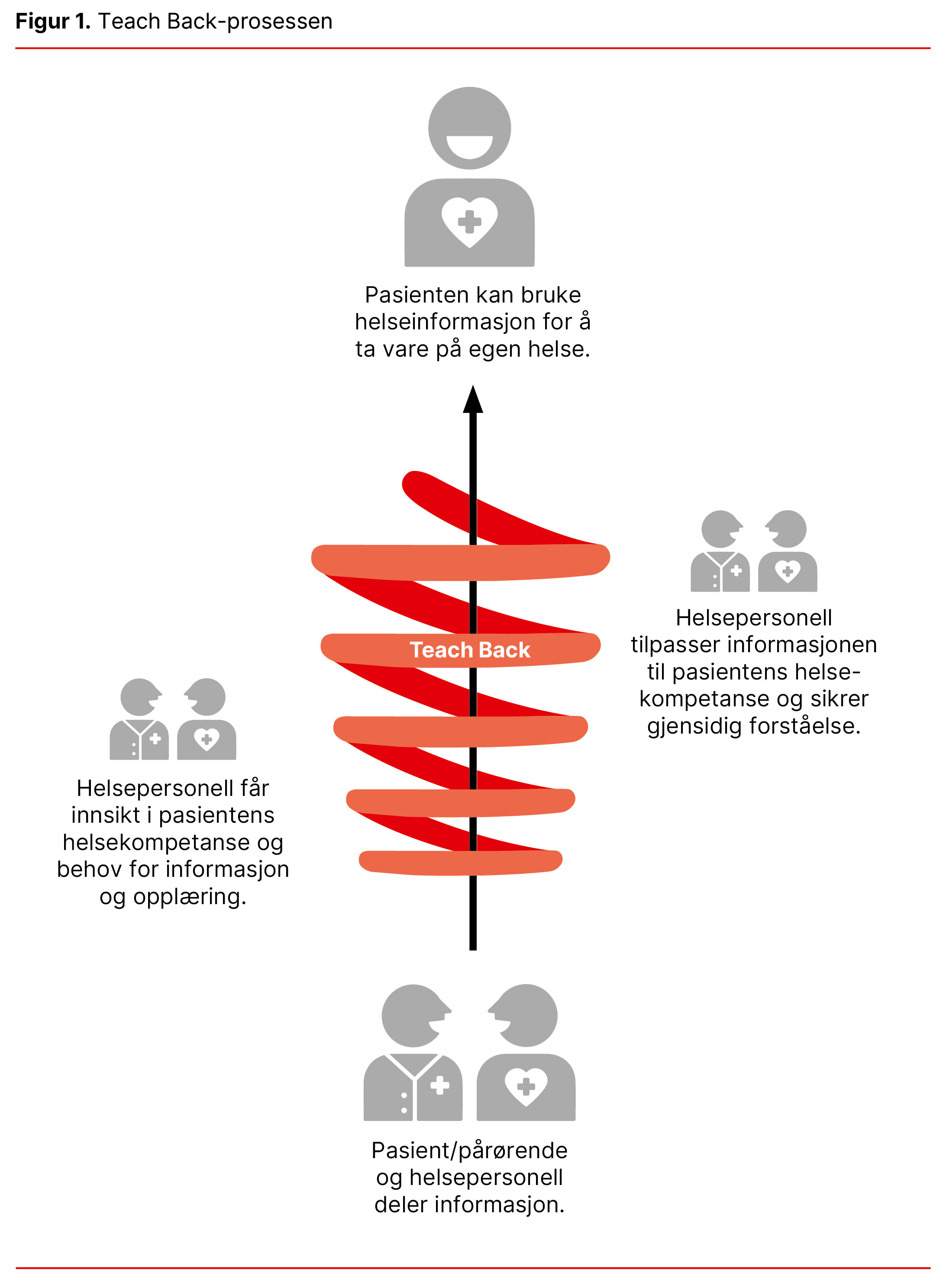 Figur 1. Teach Back-prosessen Figur 1. Teach Back-prosessen