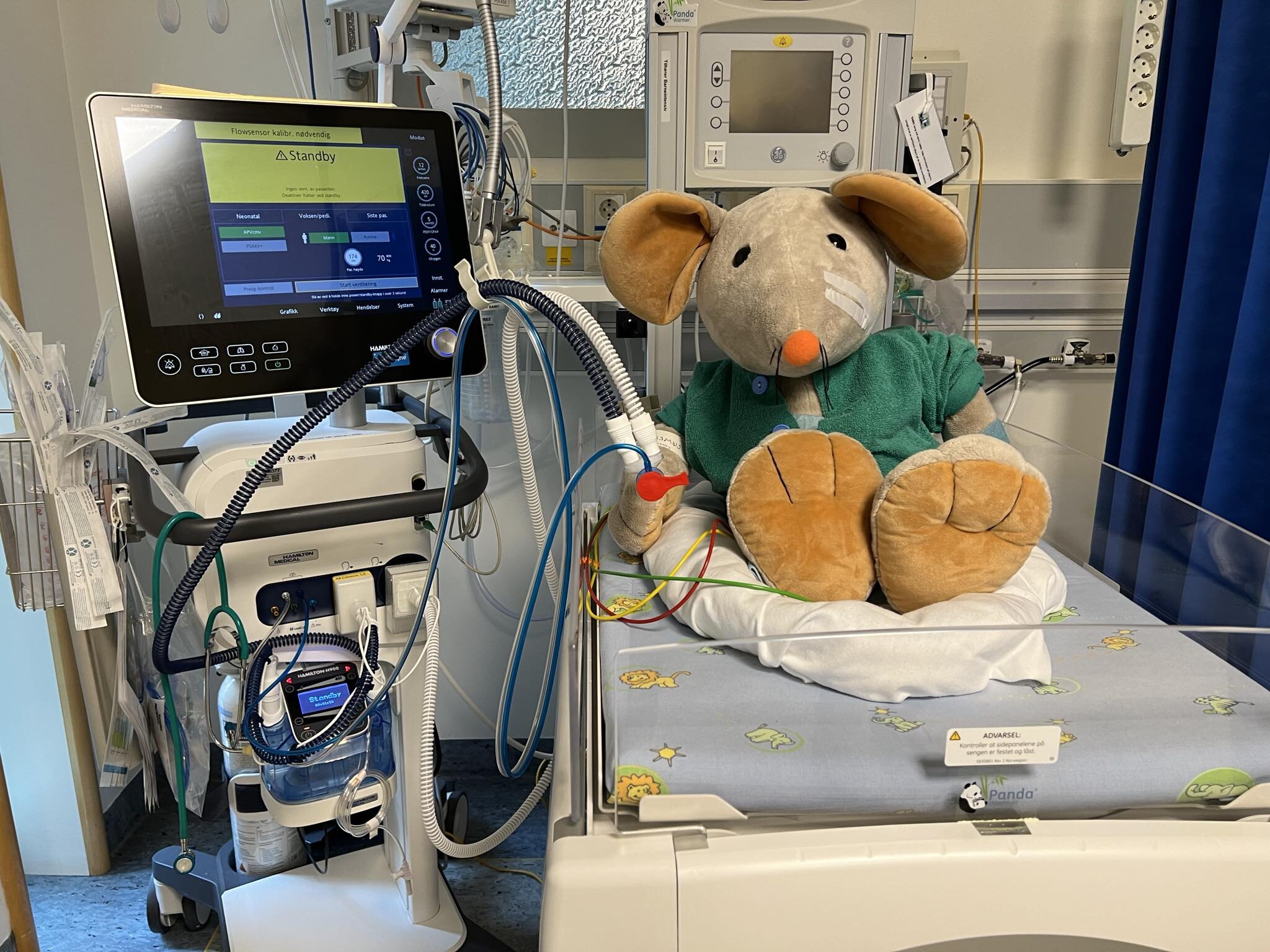 Bildet viser kosedyret Rasmus i en babyseng med respirator ved siden av