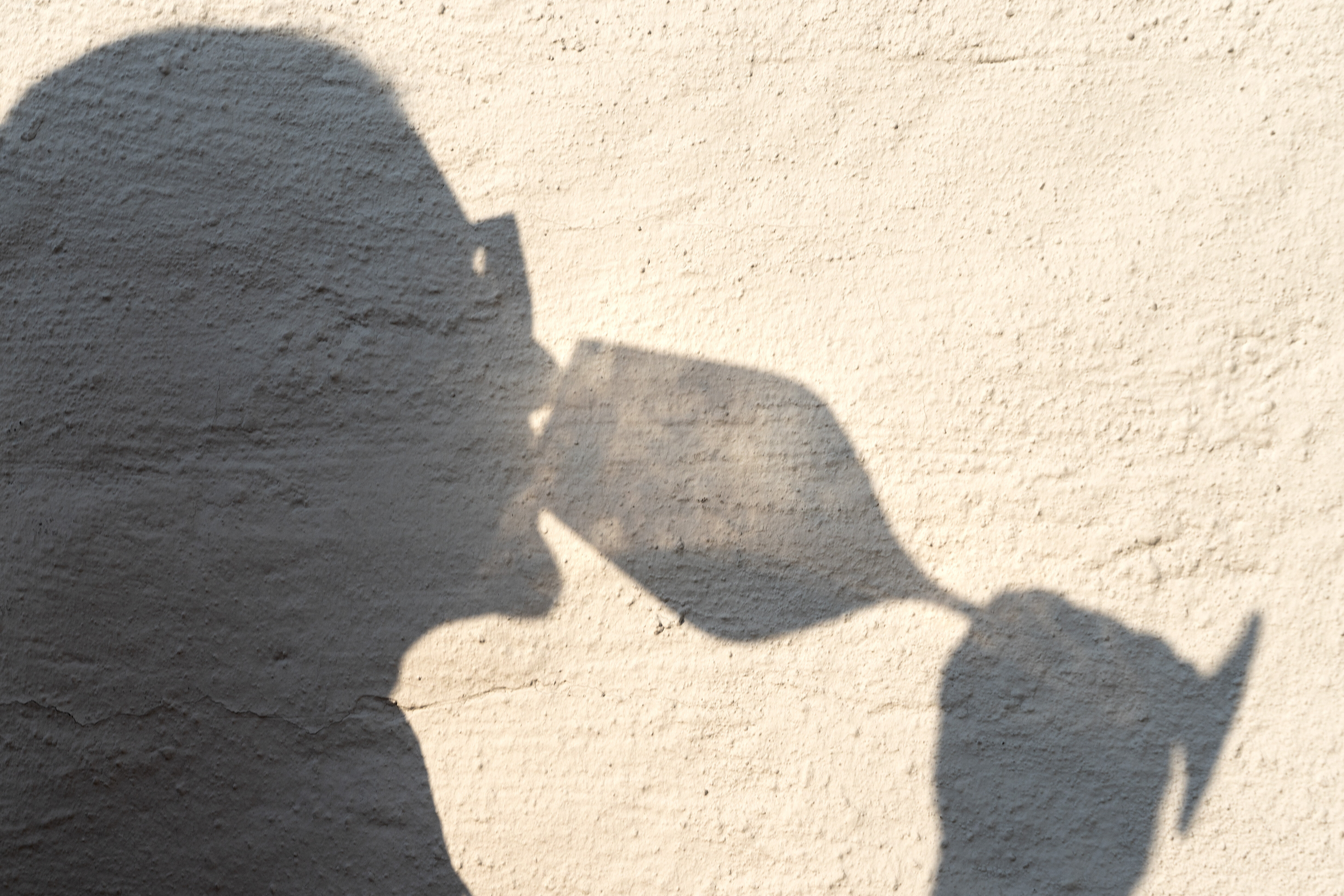 bilde av mann som drikker vin