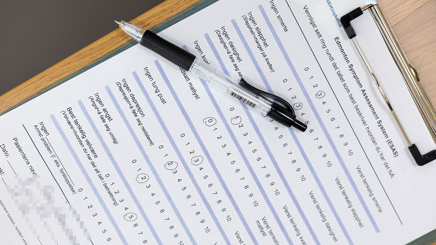 Bildet viser et ESAS-skjema.