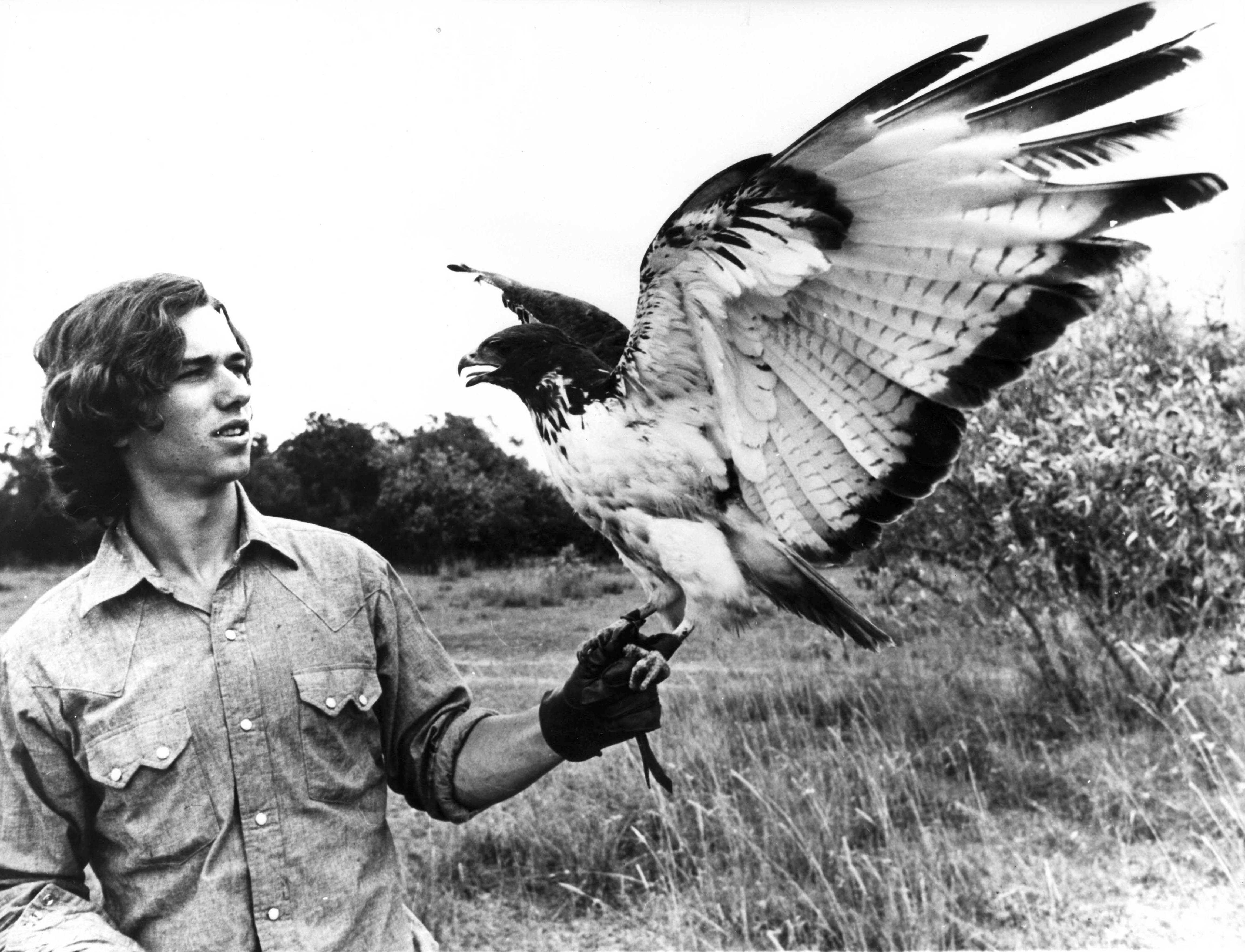 Bildet viser Robert F. Kennedy jr. med en hauk.