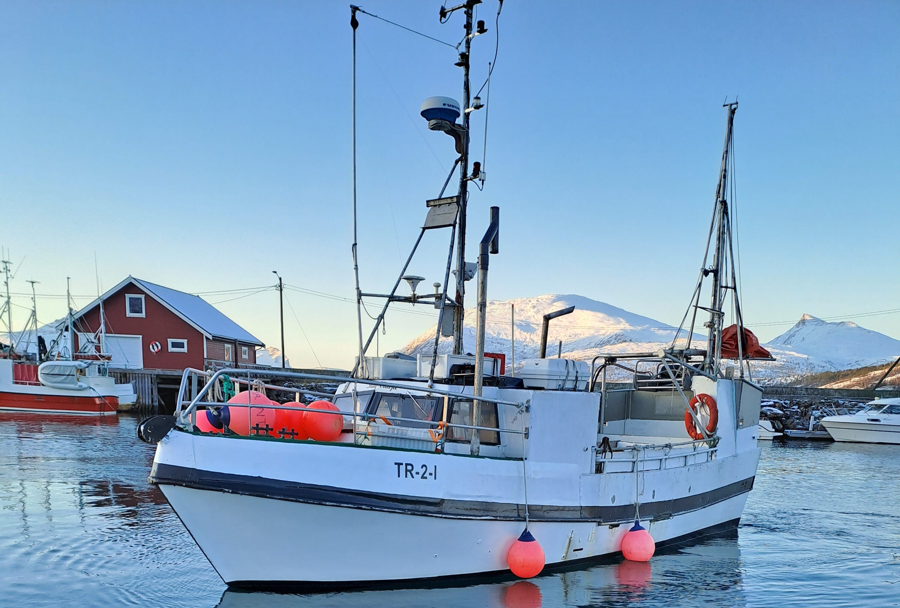 Sjark Bildet viser en sjark.